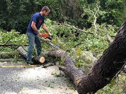 Best Tree Risk Assessment  in Fuquay Varina, NC